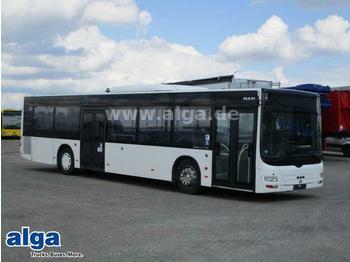 Bus urbain MAN Lions City, A 21, NL 313, A/C, 41 Sitze: photos 1