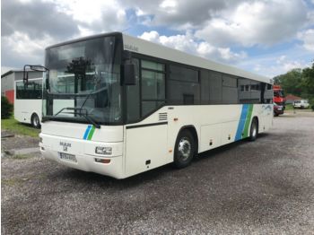 Bus interurbain MAN SÜ 313/Type A 72 / Lion's Classik/Klima//: photos 1