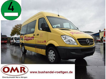 Minibus, Transport de personnes Mercedes-Benz 906 AC 30 Sprinter: photos 1