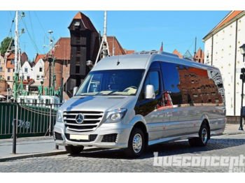 Minibus, Transport de personnes neuf Mercedes-Benz Sprinter 516/519 19+1+1 Liner Metallic: photos 1