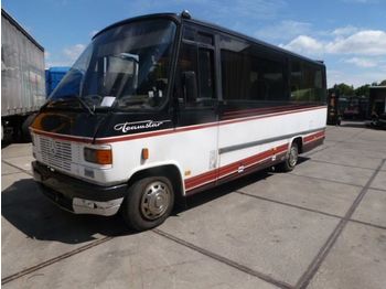 Minibus Mercedes Benz