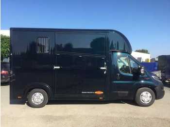 Camion bétaillère Fiat Böckmann Compact Stall Pferde-LKW Miet