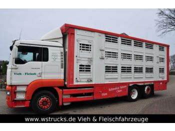 Camion bétaillère MAN TGA 26.350 Finkl Aufbau