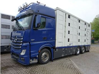 Camion bétaillère Mercedes-Benz Actros 2551 Menke 4 Stock Vollalu Hubach
