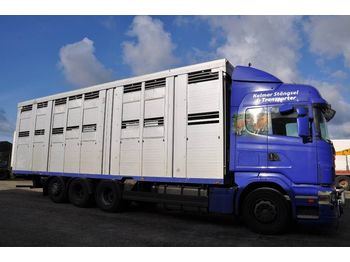 Camion bétaillère SCANIA R480LB8X4*4HNB