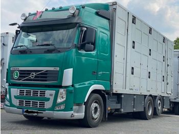 Camion bétaillère Volvo FH 420 Globe XL 3 Stock Menke