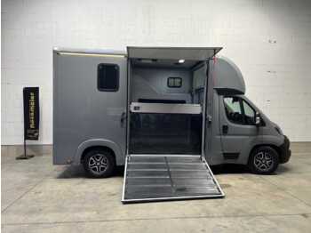Fiat Böckmann Compact Stall LKW - camion chevaux