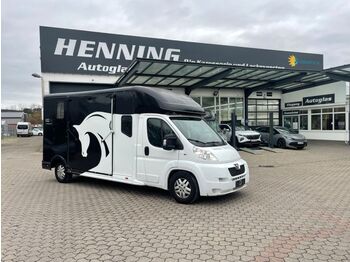 Peugeot Boxer *5 - Sitzer*  - camion chevaux
