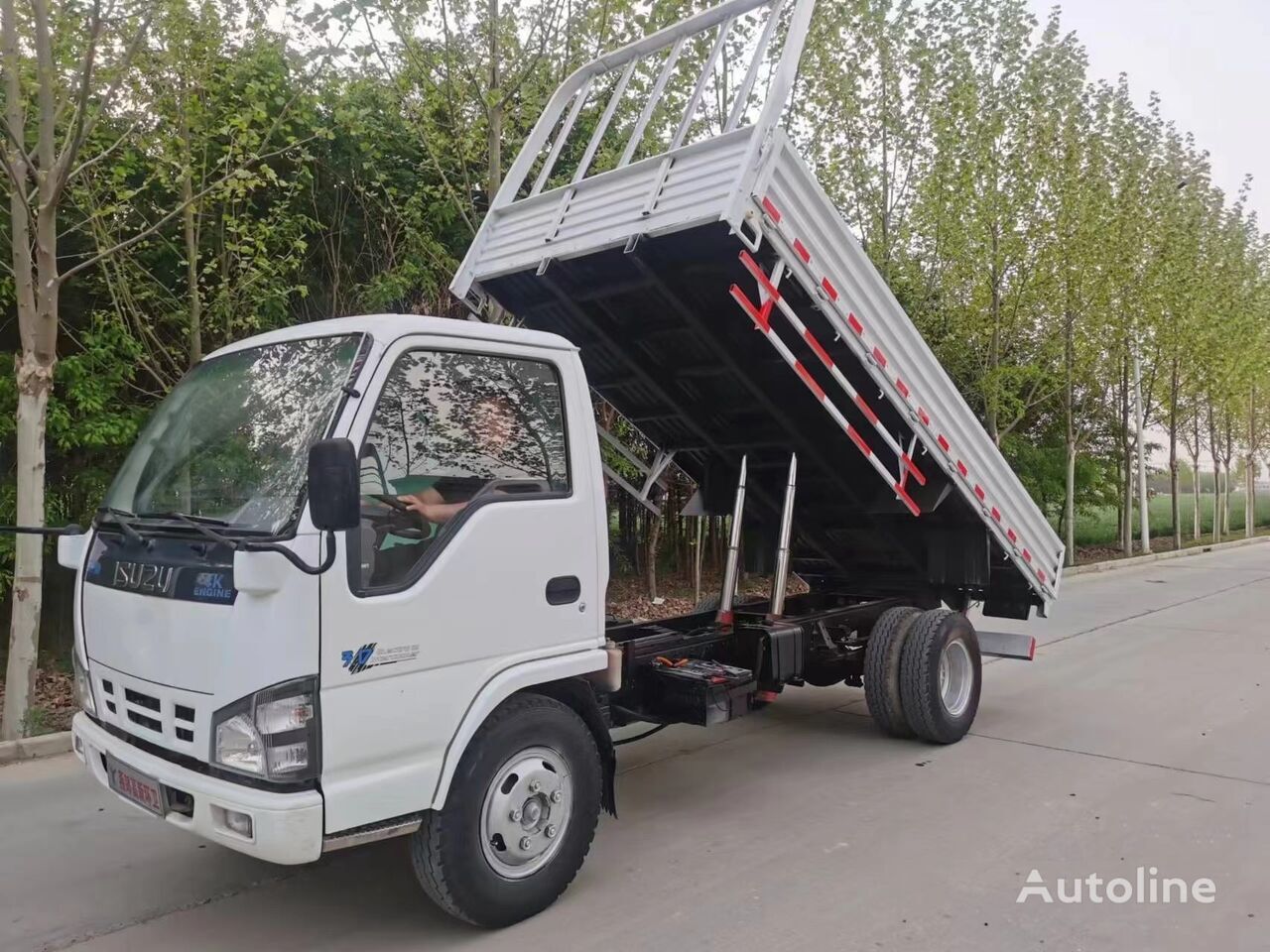 Camion benne ISUZU 4X2 drive Japanese light tipper truck dumper: photos 5