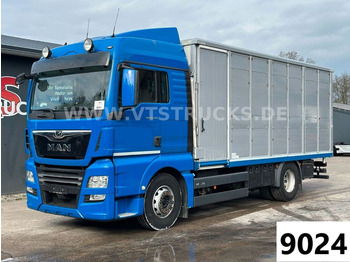 Camion bétaillère MAN TGX 18.500 4x2 Euro6 1.Stock Stehmann Viehtrans.: photos 1