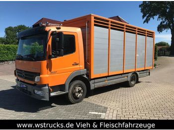 Camion bétaillère pour transport de animaux Mercedes-Benz 822 L  mit Eckstein Einstock: photos 1