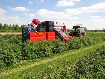 Machine à vendanger WEREMCZUK Berry harvesters JOANNA Line