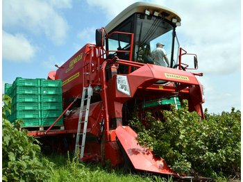 Machine à vendanger WEREMCZUK Berry harvesters VICTOR Line