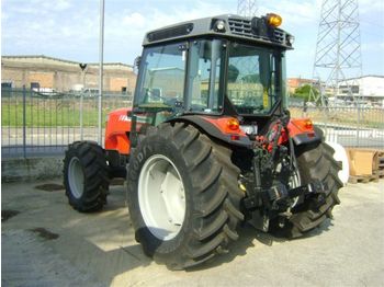 MASSEY FERGUSON 3655 frutteto dt - Tracteur agricole