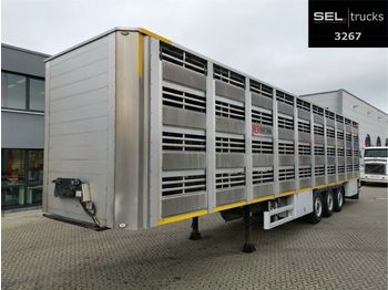 Semi-remorque bétaillère Pezzaioli CIMC / SR03 / 4 Stock / Typ 2 / Ferkeltransporte: photos 1