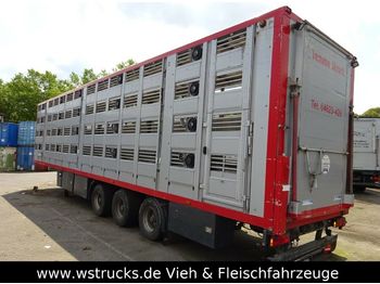 Semi-remorque bétaillère Menke 4 Stock Lüfter Tränk