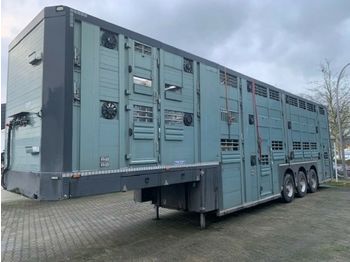 Semi-remorque bétaillère Menke Cattle Cruiser 3 Stock Vollausstattung