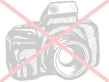 Veldhuizen P 31 4D - Semi-remorque plateau