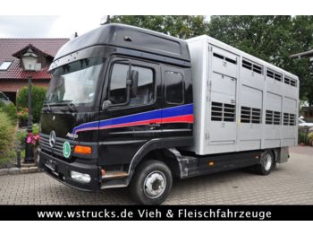 Fourgon pour transport de animaux Mercedes-Benz Top Micheletto Aufbau: photos 1