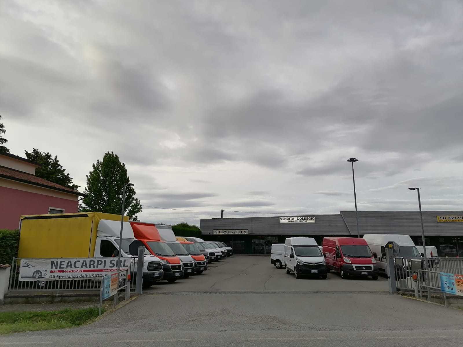 NEACARPI SRL undefined: photos 1