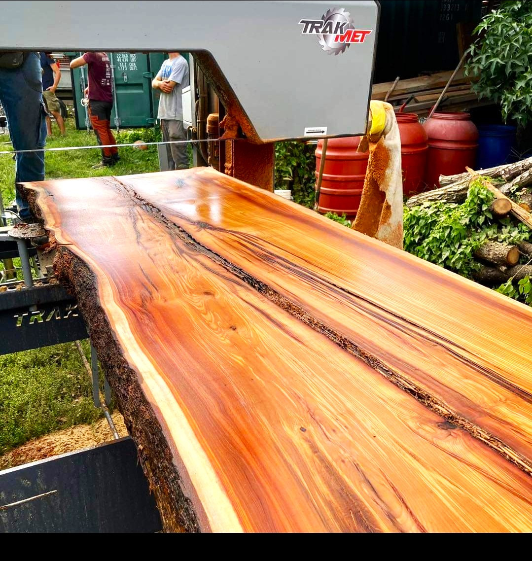 TRAK-MET undefined: photos 36