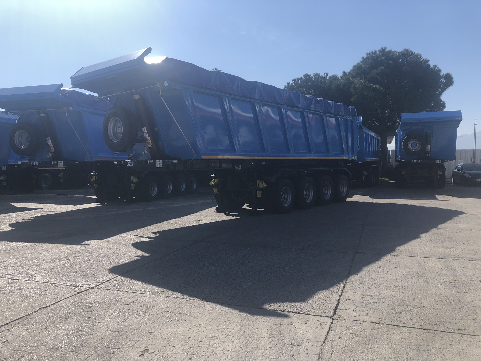 STAR YAGCILAR undefined: photos 19