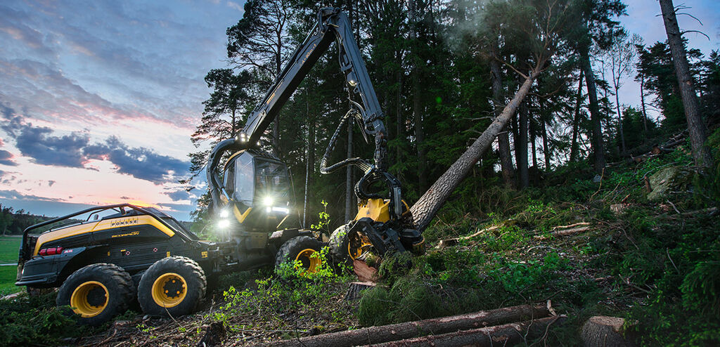 Tractoaredepadure.ro undefined: photos 2