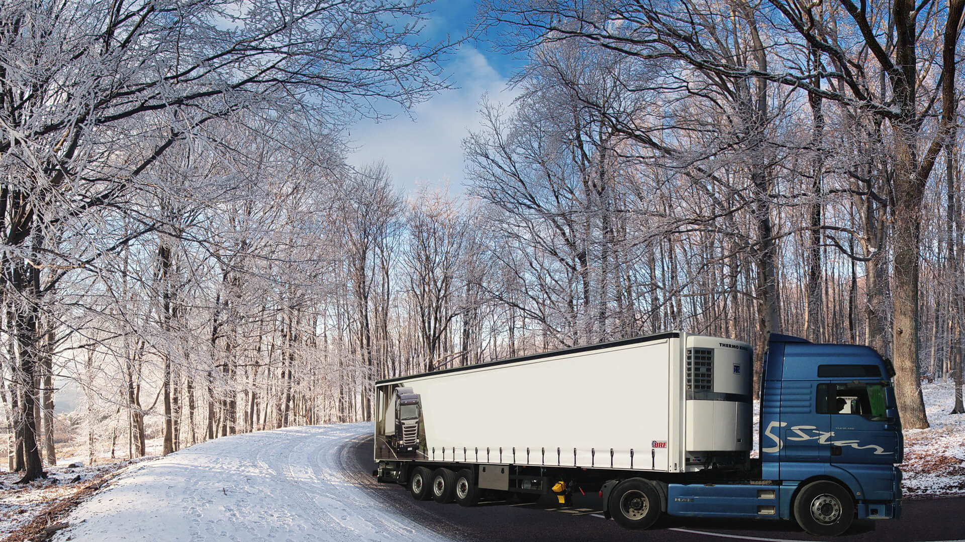 BRF REFRIGERATED TRAILER - Annonce de vente undefined: photos 3