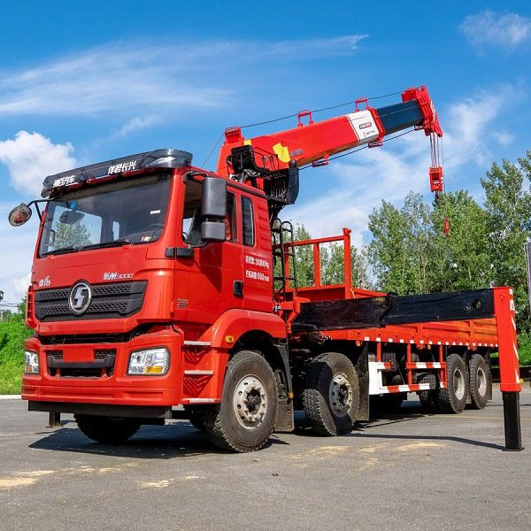 Shandong ZW Vehicle Group undefined: photos 190