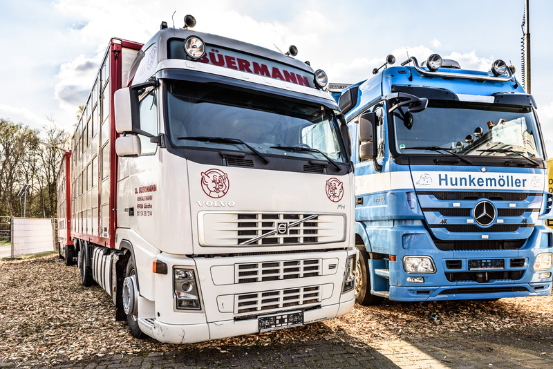 WS Trucks GmbH - Véhicules utilitaires undefined: photos 2