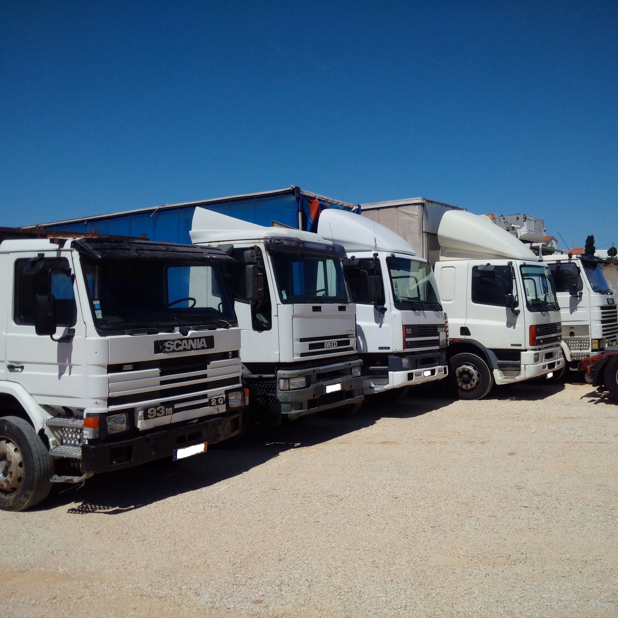 Britannia Export Consultants Limited undefined: photos 29