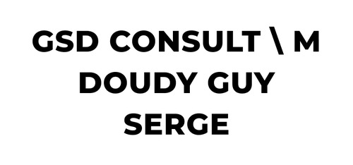 GSD CONSULT \ M DOUDY GUY SERGE