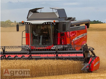 Moissonneuse-batteuse MASSEY FERGUSON