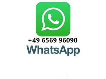 Benne à ordures ménagères neuf MAN TGS 26.320 6x2 Faun Presswagen  524 MAN TGS 26.320 6x2 Faun Presswagen  524: photos 2