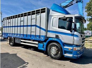 Camion fourgon SCANIA P 310