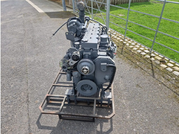 Moteur pour Engins de chantier Cummins CPL3900 6BTA Engine 5.9 litre: photos 3