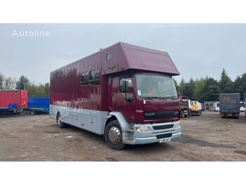 Camion chevaux DAF: photos 1