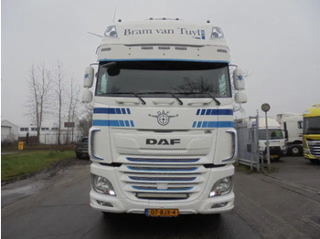 Tracteur routier DAF XF 430 NL TRUCK: photos 2