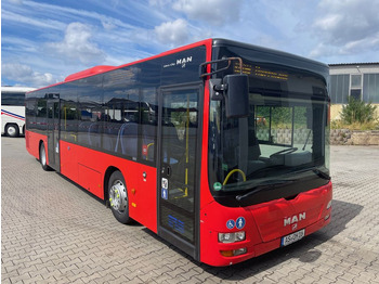 Bus urbain MAN Lion's City A20