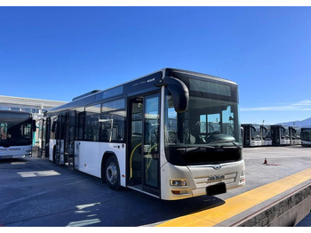 Bus urbain MAN Lion's City