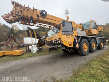 Grue TADANO RTF 40-3