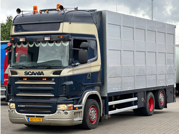 Camion bétaillère SCANIA R 420