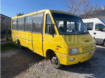 Bus scolaire IVECO