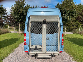Transport de personnes Mercedes-Benz Sprinter 316 CDI AUT * BUS ** 9 bis 11 sitze**: photos 4