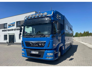 Camion chevaux MAN TGL 12.250
