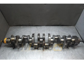 Vilebrequin MITSUBISHI