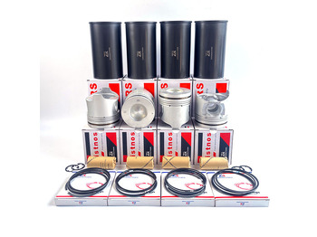 Kit de révision moteur ISUZU