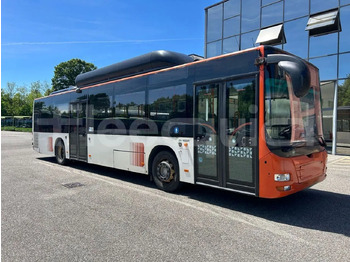 Bus urbain MAN Lion's City