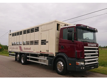 Camion bétaillère Scania 124 420 Do żywca: photos 2 Camion bétaillère Scania 124 420 Do żywca: photos 2