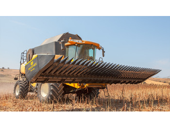 Equipement à tournesol